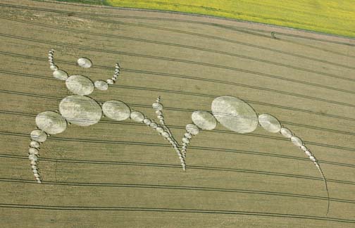 Crop Circle: 1,033 feet and 490 feet wide